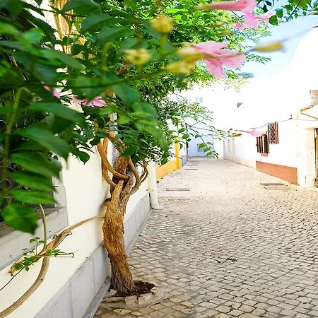 Maison Citron *